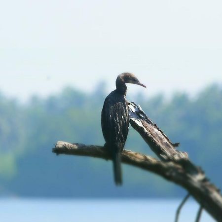 Sethra Villa Bentota Luaran gambar