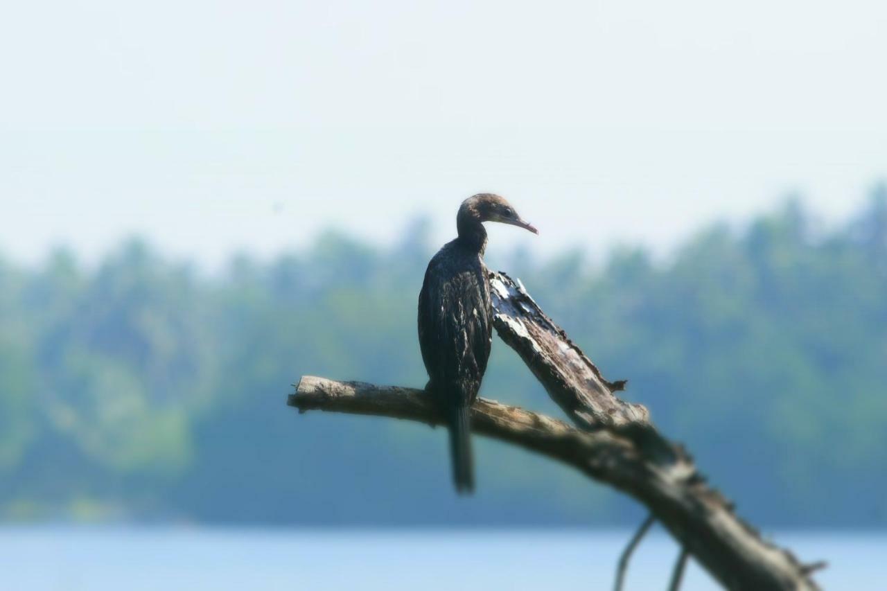 Sethra Villa Bentota Luaran gambar