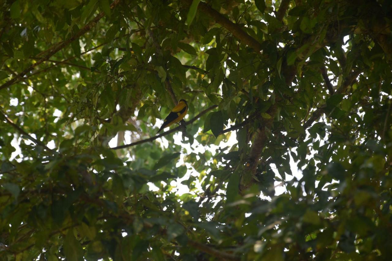 Sethra Villa Bentota Luaran gambar