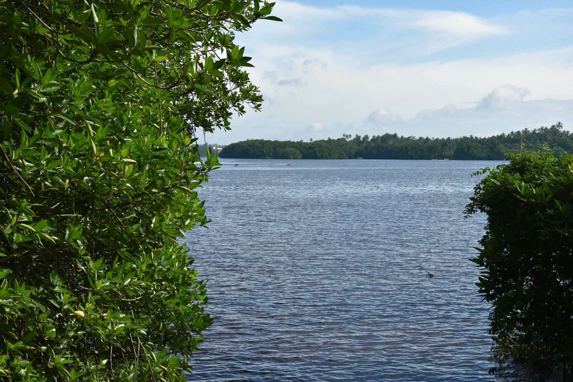 Sethra Villa Bentota Luaran gambar